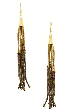Seed Bead Tassel earrings