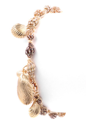 Seashell/Metal Charm Bracelet