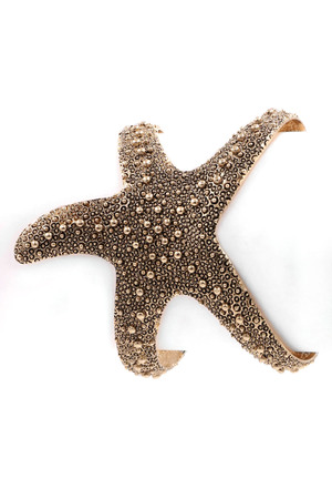 Starfish Cuff Bracelet