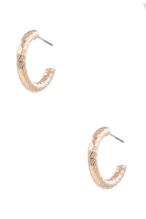 Brass Hoop Earrings