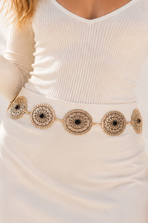 Metal Shield Disc Link Belt