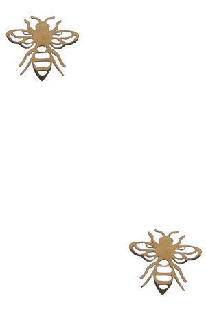 Stainless Steel Bee Stud Earrings